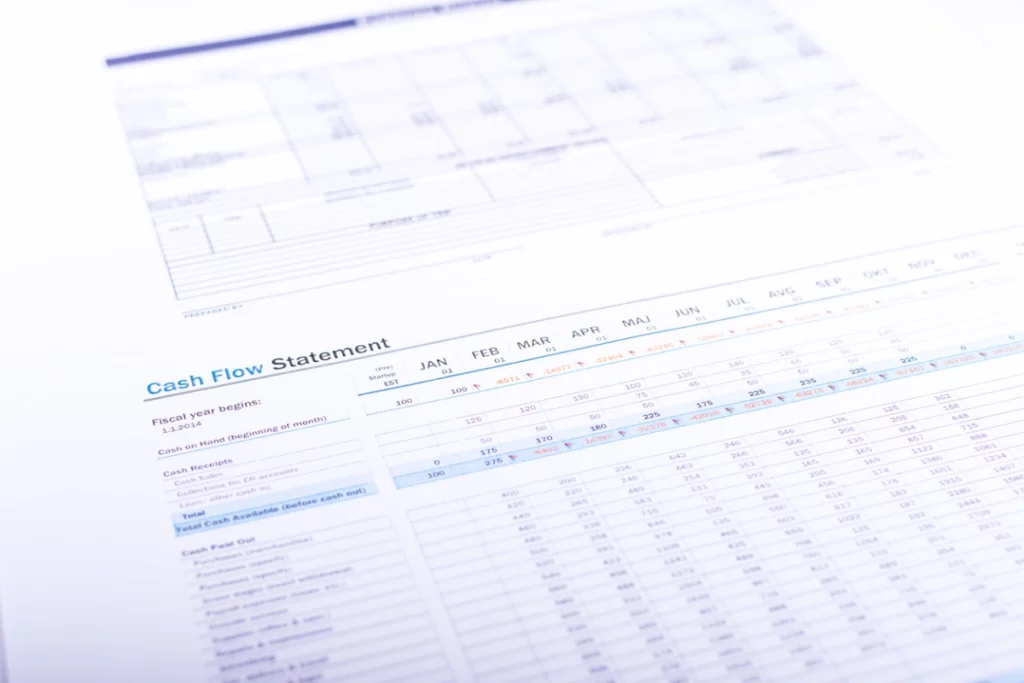 Cash Flow Statement